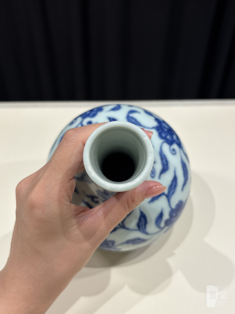 清雍正 青花缠枝花卉纹天球瓶 - 图6